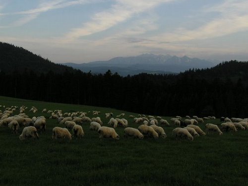 Pieniny, 2005