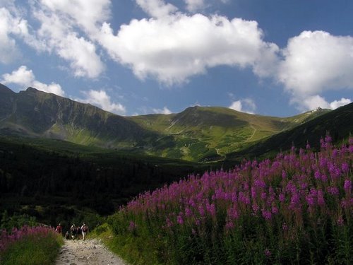 Tatry, 2007